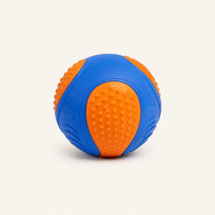 The textured squeaky ball included in the three-item bundle, blue and orange rubber, two inches across